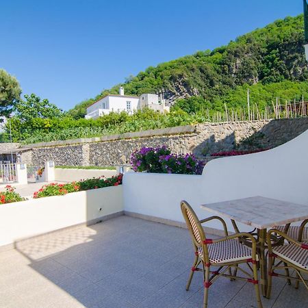 La Capannina - Hotel & Apartments Ischia Exterior foto